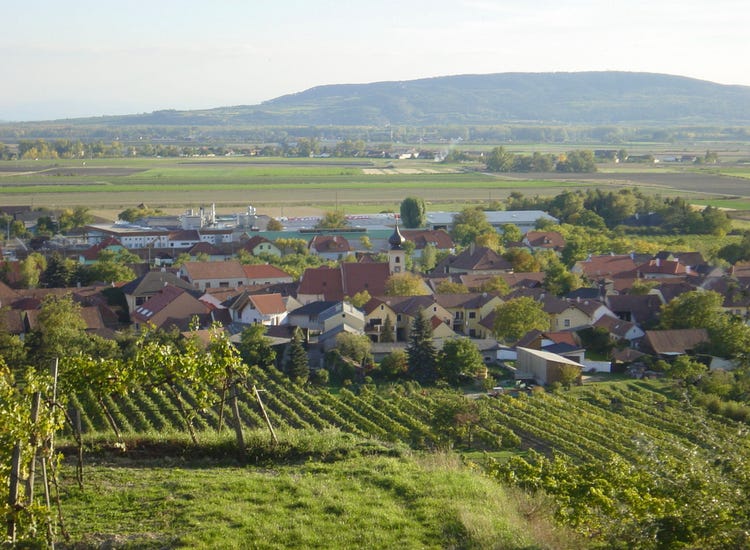 Erich and Maria Berger's winery in the village of Gedersdorf in Lower Austria.  