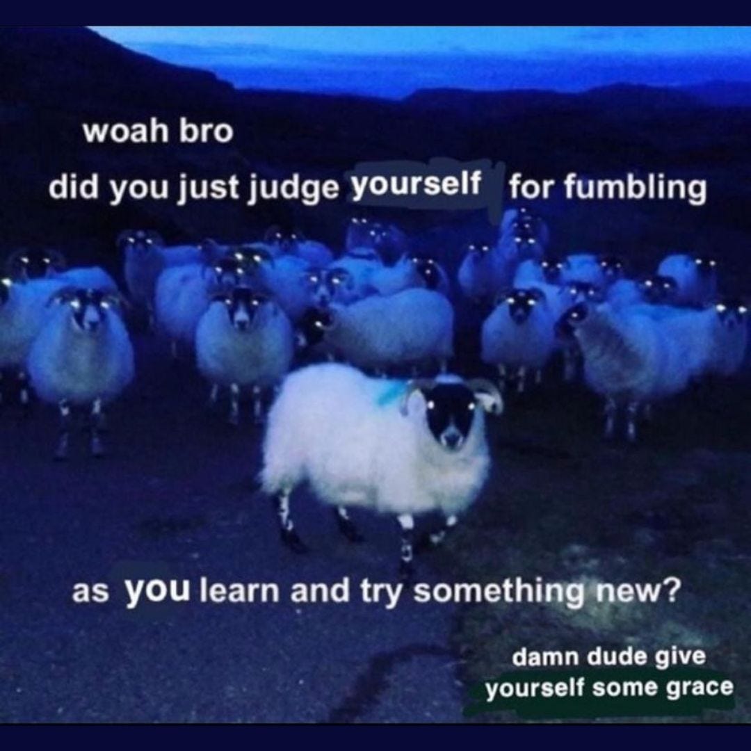 Meme via alexjenny_ on IG of a dozen or so sheep photographed at night, all staring at the camera with their eyes lit up by the flash. Text above and below the sheep reads, “whoa bro did you just judge yourself for fumbling as you learn and try something new? damn dude give yourself some grace”