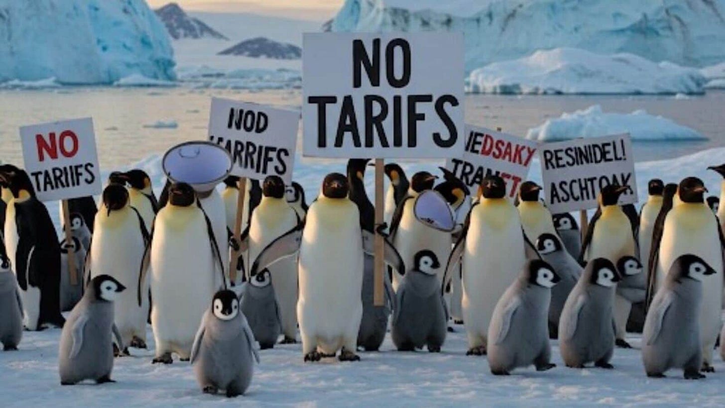 Penguin memes galore on Internet after Donald Trump's 10 ...