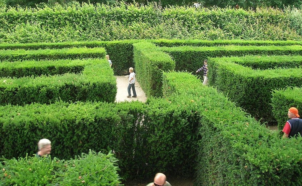 a labyrinth made of hedges with several people inside