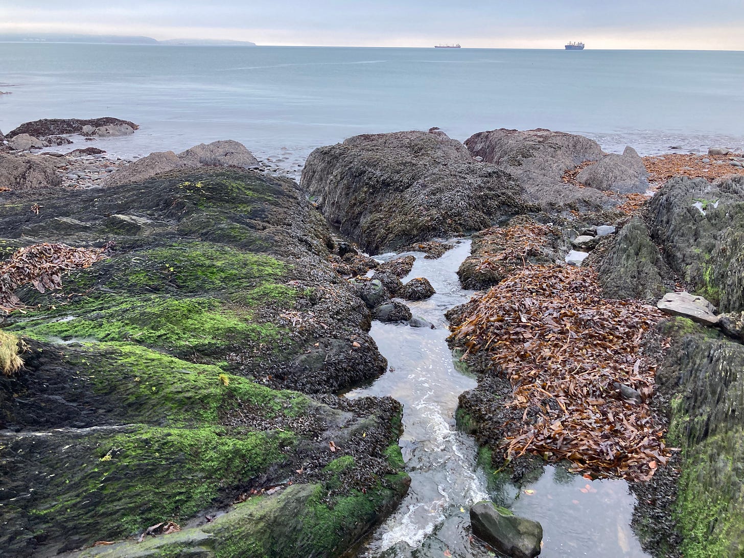 photo of a stream flowing into the sea