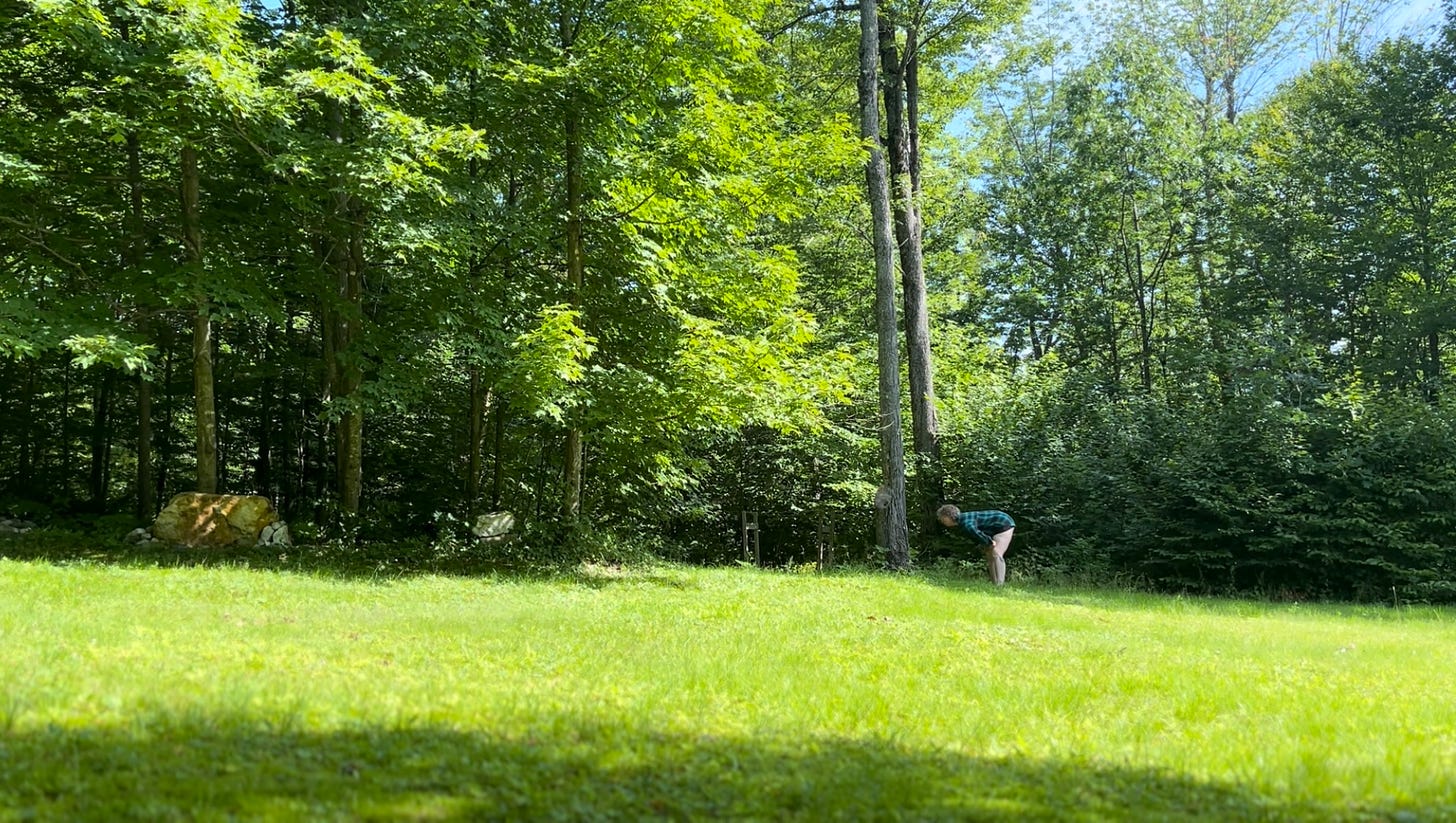 a person bent toward a tree at the place where a green field meets the green woods