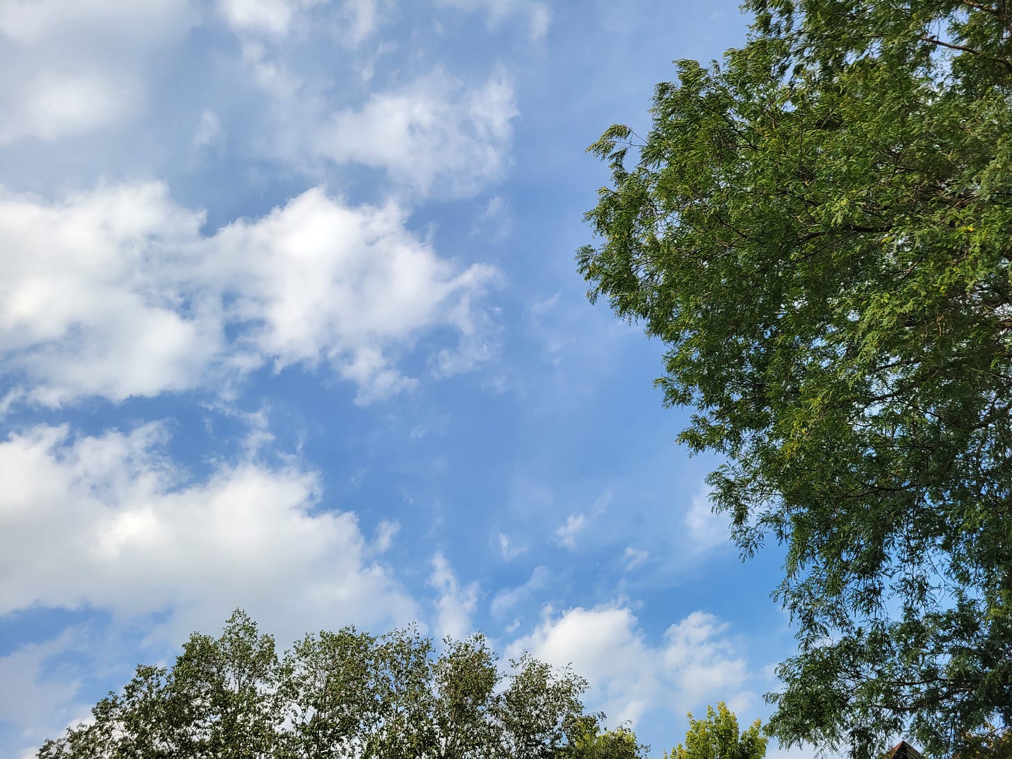 A beautiful blue sky with fluffy white clouds and the crowns of trees with green leaves are visible on the edge of the frame.
