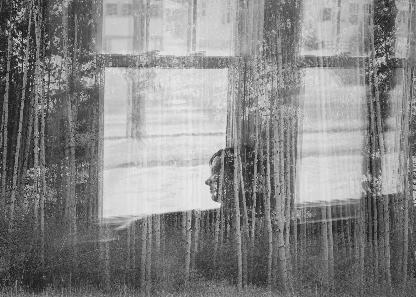 Woman sitting at window looking out, superimposed with trees 