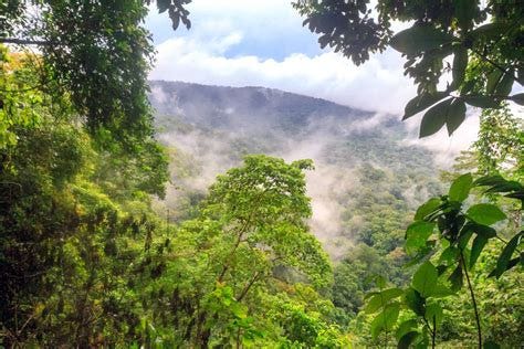 The Darien Gap: Inside A Remote Jungle (Photo Essay)