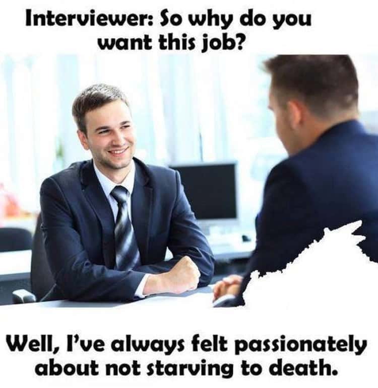 19 Photos That Pretty Much Sum Up Most Job Interviews