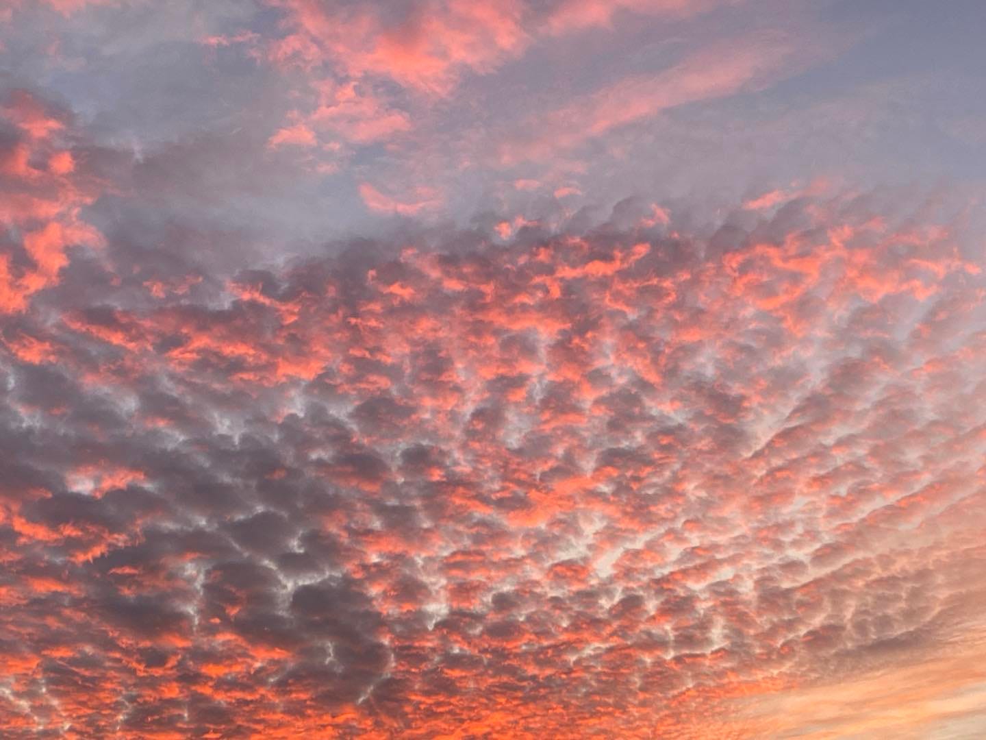 Clouds of pale blue, pink, salmon and orange at dawn.