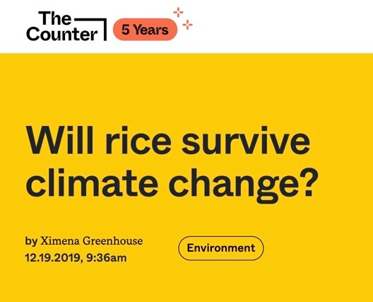 “Although rice consumption is up, rice production is down in commodity rice-growing regions that are becoming prone to inconsistent weather patterns. The challenge, for farmers, is how to meet demand for an inexpensive food source when Mother Nature… “Although rice consumption is up, rice production is down in commodity rice-growing regions that are becoming prone to inconsistent weather patterns. The challenge, for farmers, is how to meet demand for an inexpensive food source when Mother Nature…