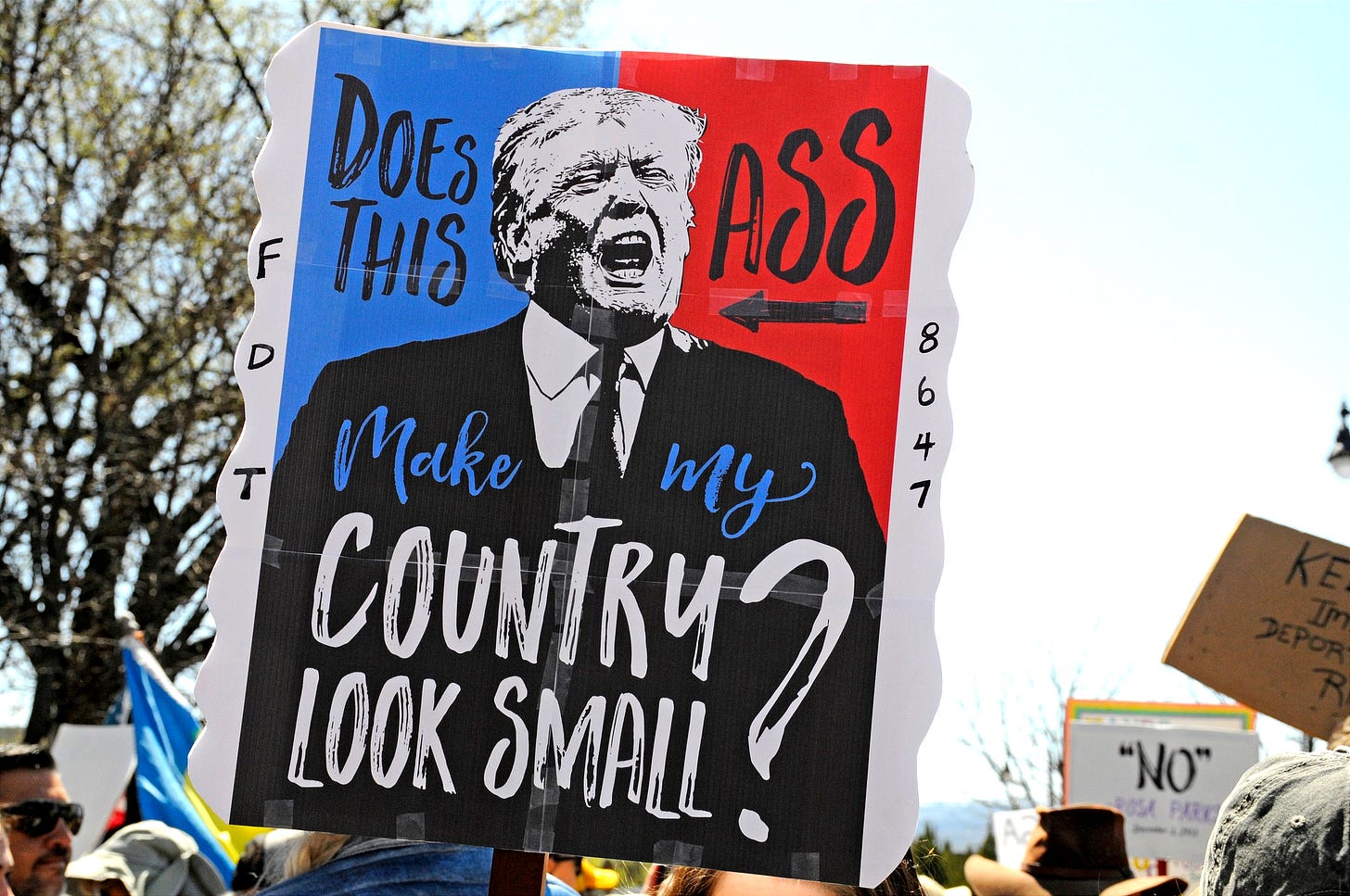 Image of protest sign featuring Trump. It reads, "Does this ass make my country look small?"