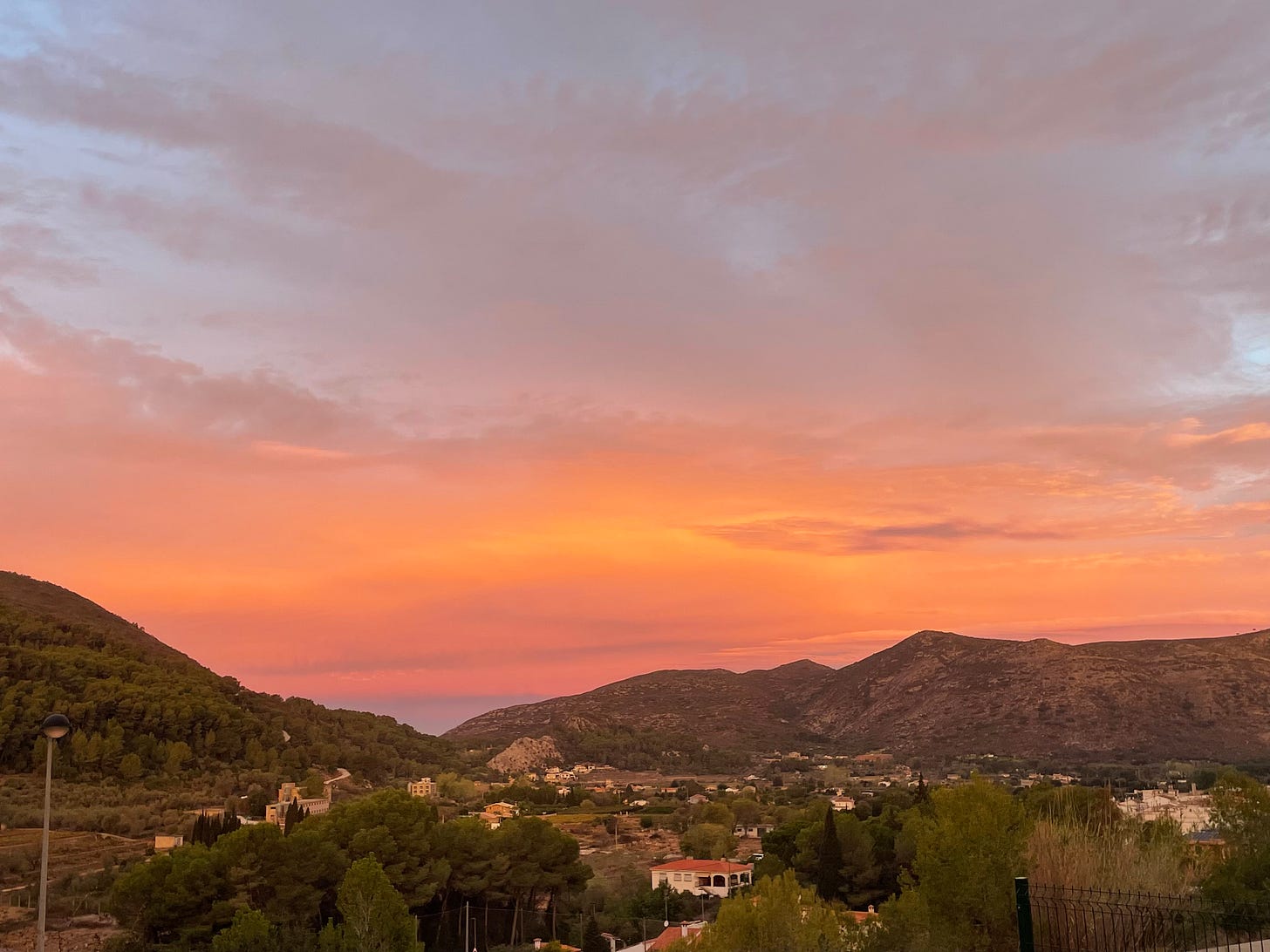 A Spanish Garden by Cassandra Hall