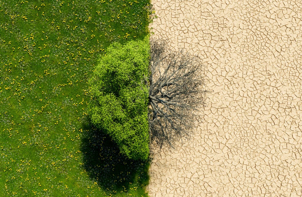ESG Investing News and Analysis for Asia - ESG Clarity