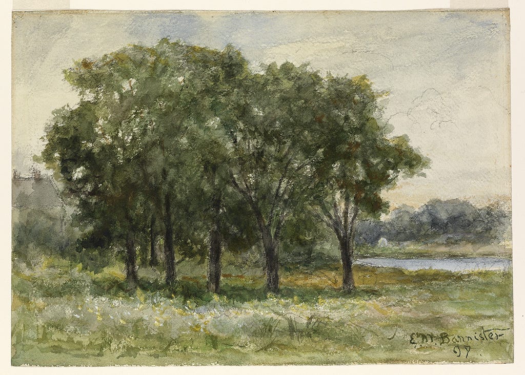 EDWARD M BANNISTER (1828 1901) Untitled (Landscape Trees b