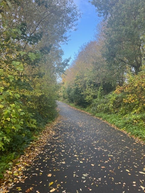 Image By Author - Path With Trees