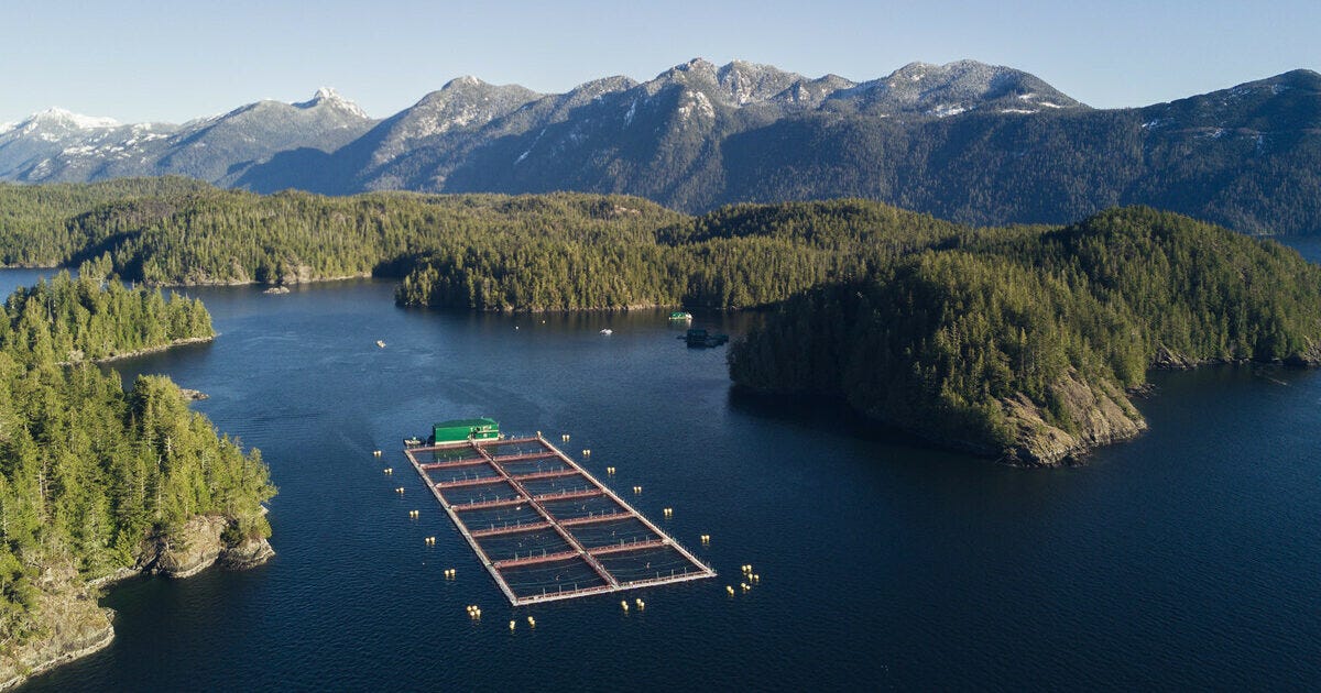 About Salmon Farming | Global Salmon Initiative