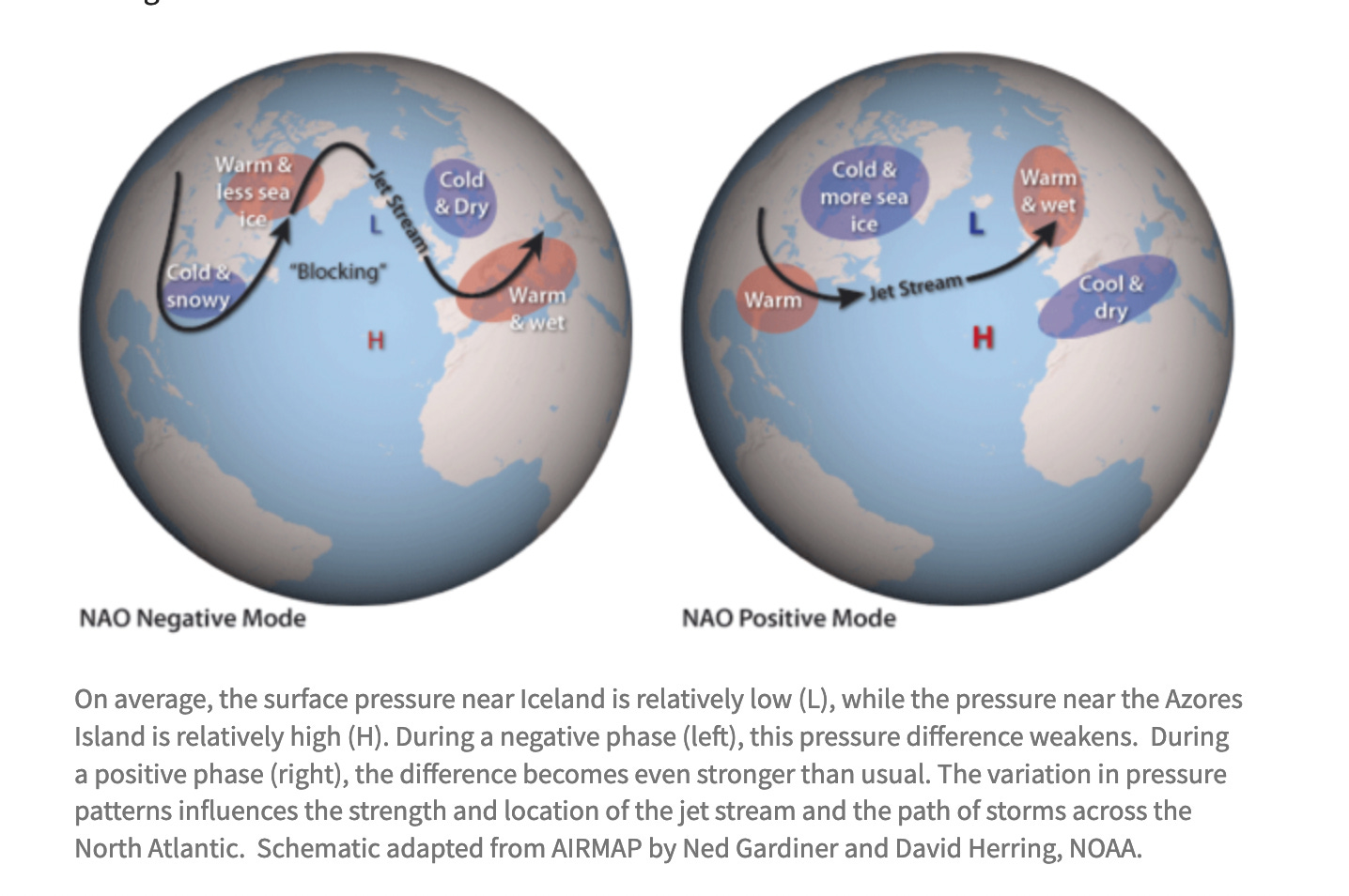 on the left is a globe showing the nao negative mode over the north atlantic, with the jet stream arcing high up into the arctic. it says "cold and snowy" over the northeast, "warm & less sea ice" over the canadian arctic, "cold and dry" over north europe, and "warm & wet" over south europe. the right hand globe shows the nao positive mode with the jet stream going straight across and not arcing. it says "warm" over the eastern us, "cold and more sea ice" over the canadian arctic, "warm and wet" over northern europe, and "cool and dry" over southern europe. the caption beneath the globes says “On average, the surface pressure near Iceland is relatively low (L), while the pressure near the Azores Island is relatively high (H). During a negative phase (left), this pressure difference weakens.  During a positive phase (right), the difference becomes even stronger than usual. The variation in pressure patterns influences the strength and location of the jet stream and the path of storms across the North Atlantic.  Schematic adapted from AIRMAP by Ned Gardiner and David Herring, NOAA.”