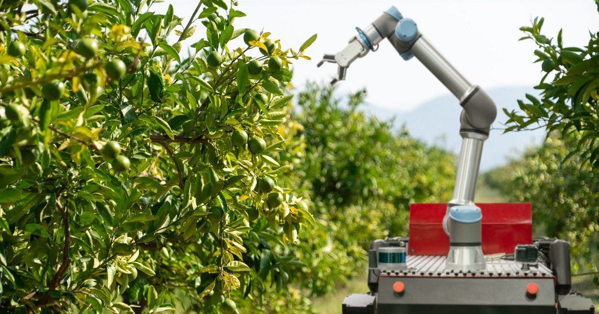 Agribots: Revolutionising fruit picking with AI | Food Digital