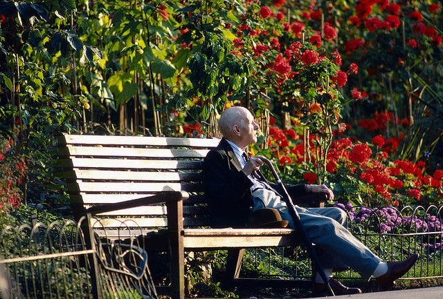 Old Man on Bench - Regent's Park | Photo to watercolor, Park, Bench