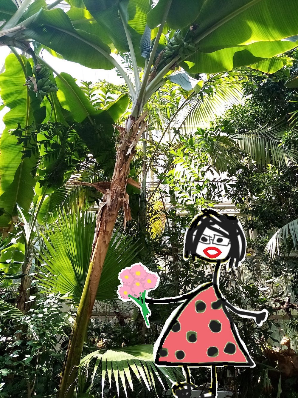 Who would have known the Botanical Gardens couldl be so refreshing?