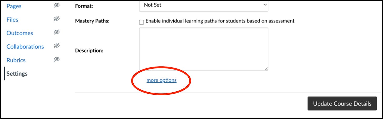 The "more options" link in Canvas's Settings panel.