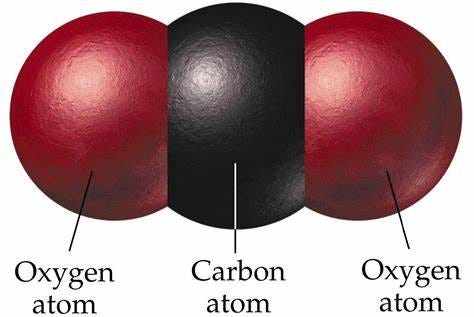 Carbon Dioxide: Dangers & Management