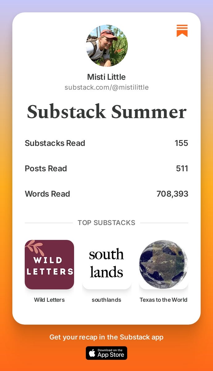 Substack Summer