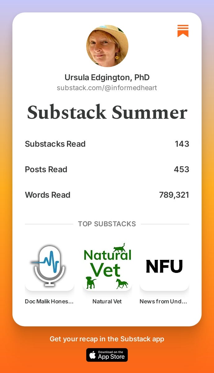 Substack Summer