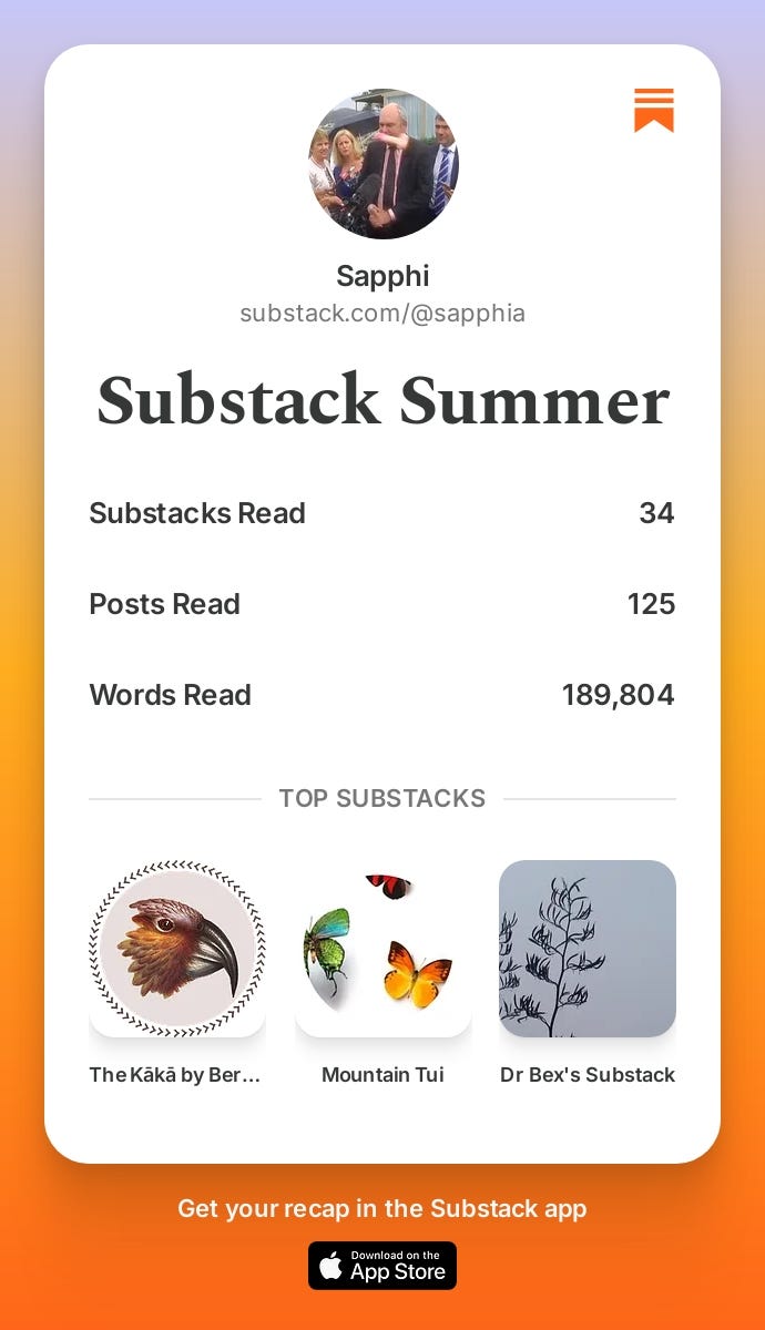 Substack Summer