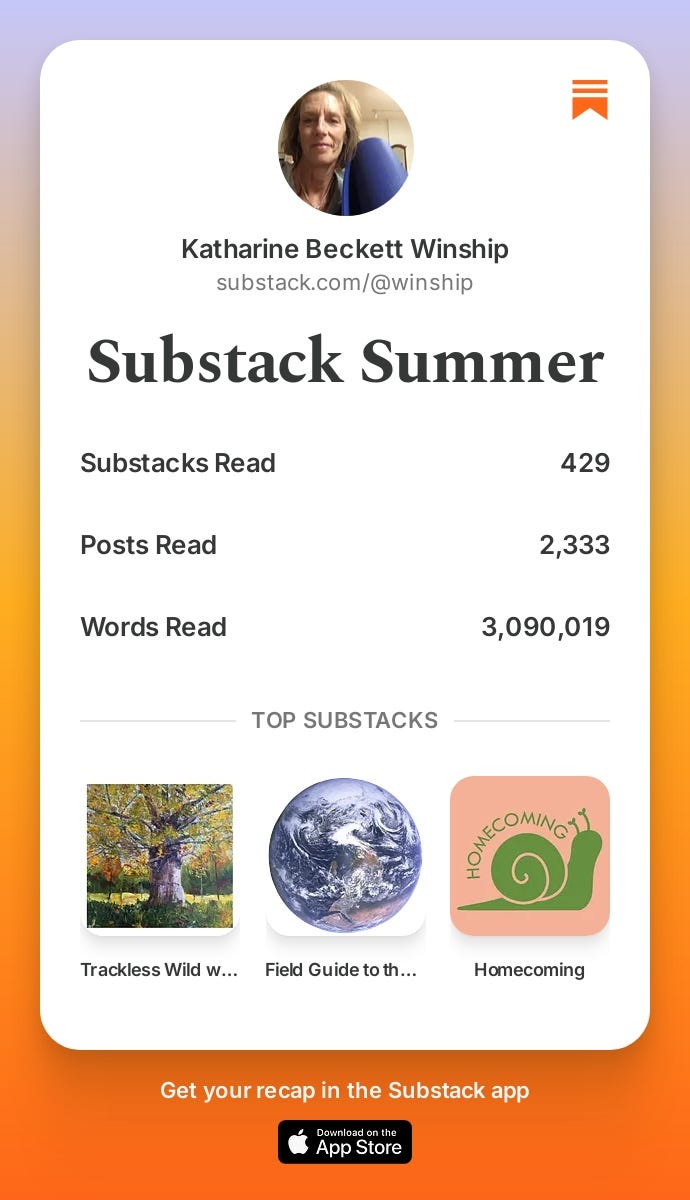 Substack Summer