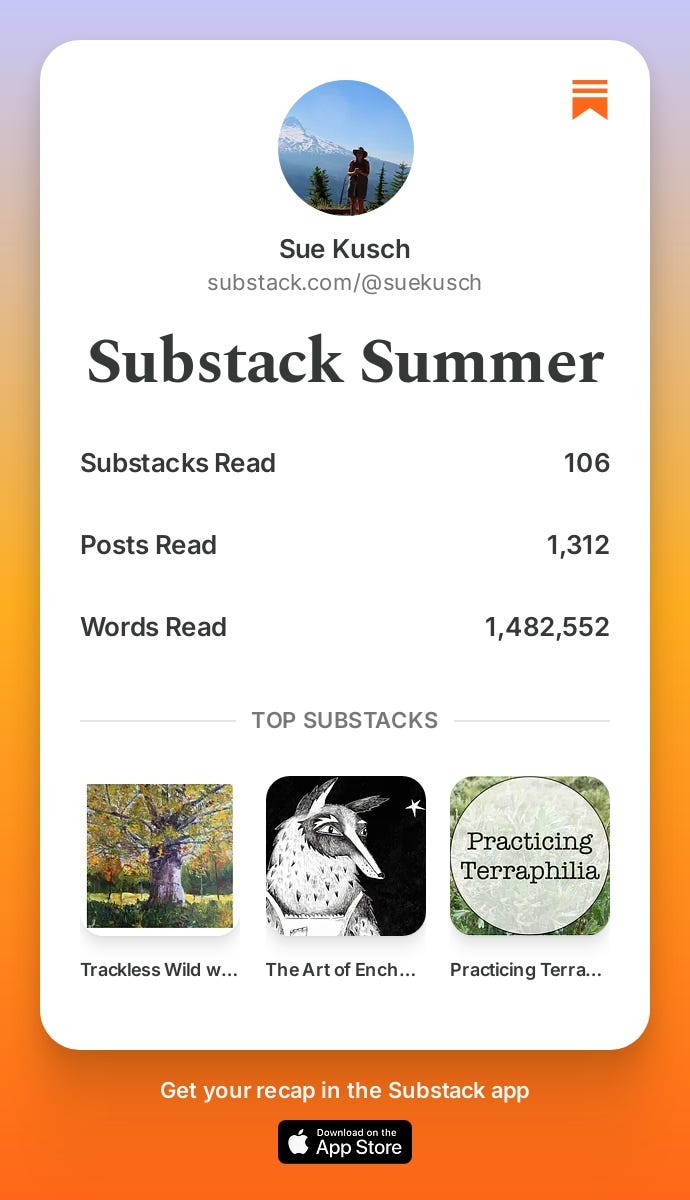 Substack Summer