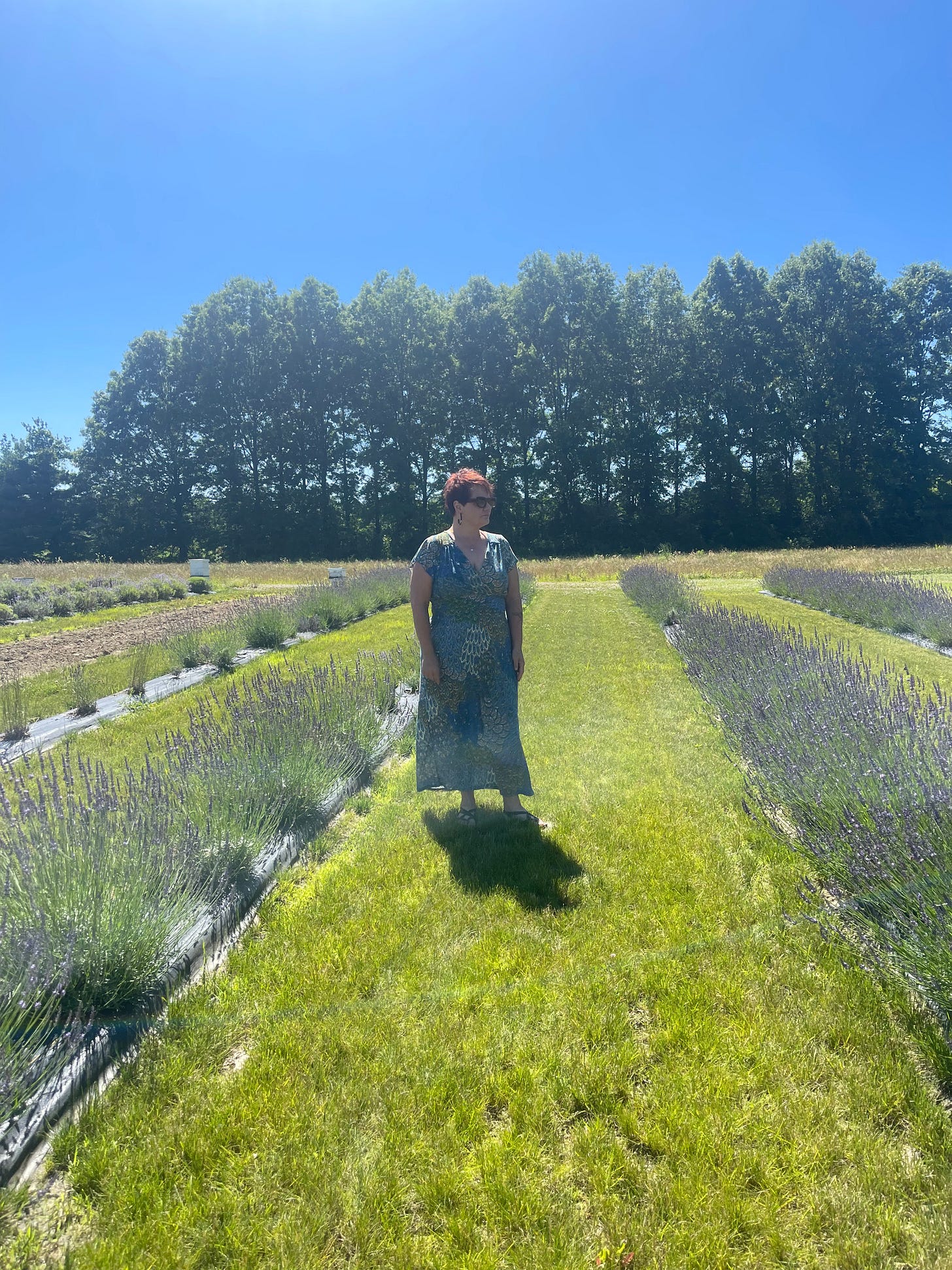 hedge witch hedge witch