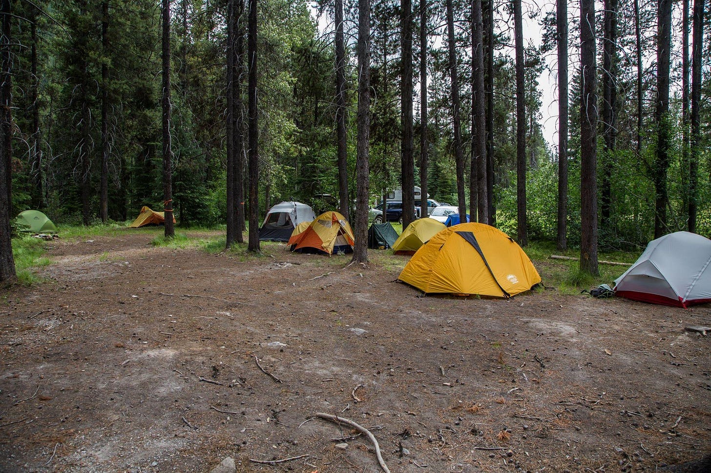 Go Outside The Crown land camping (in Alberta & B.C.) edition