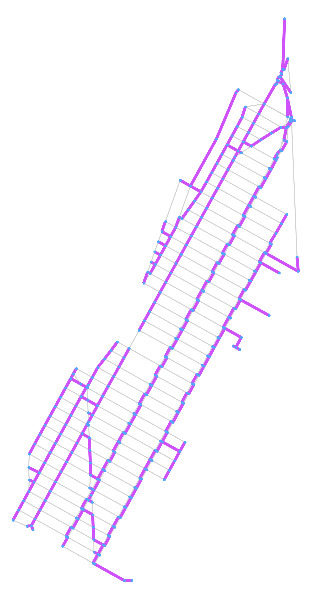 Prim's Minimum Spanning Tree Algorithm by Bruno Gonçalves