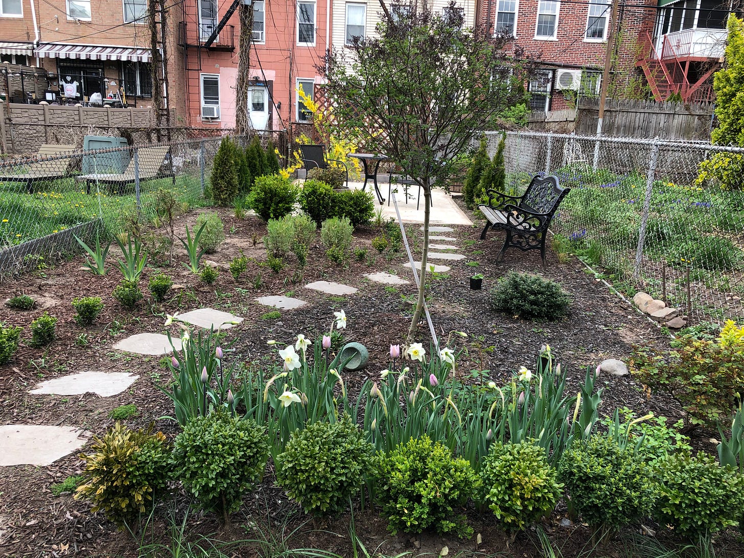 All About The Garden Path - by Steve - Chain Link Garden