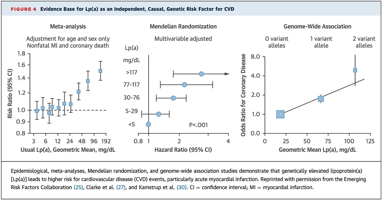 Lp A Risk Factor Lp(a) & The Risk Of Heart Disease