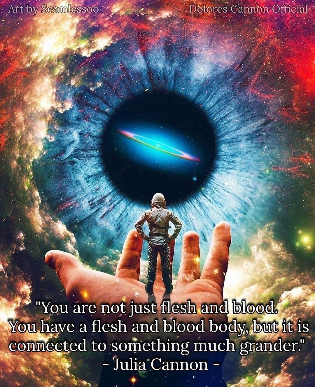 The Near Death Experience