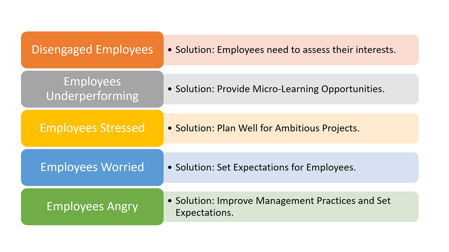 Insights from the Gallup Global Workplace Report