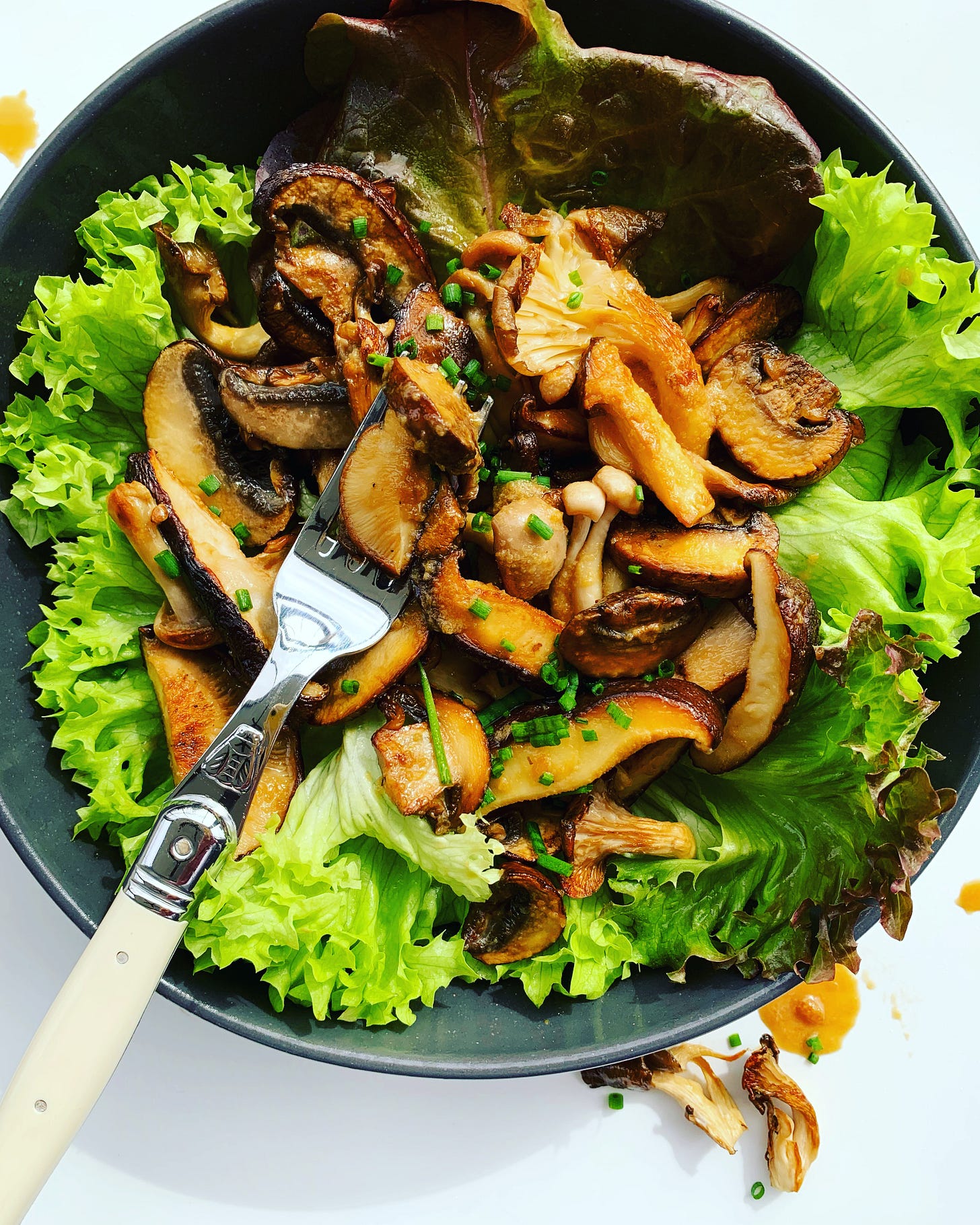 Warm Mushroom Salad? by emily nunn