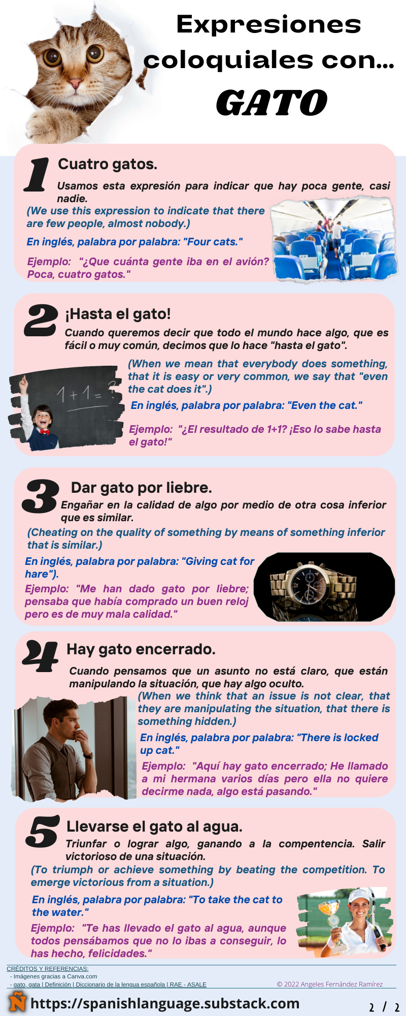 Uses and Expressions of the word "GATO" in Spanish. (003)