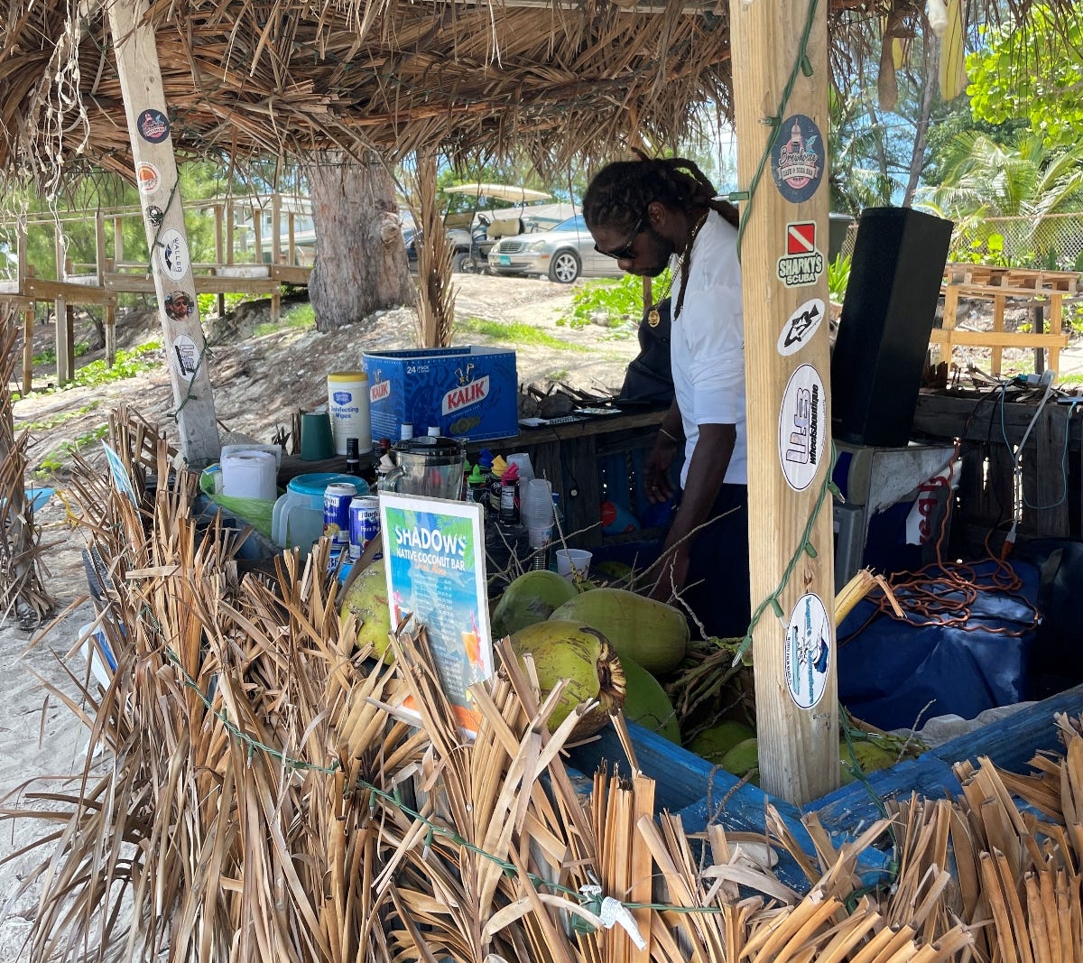 The Conch Shacks of Bimini by Laine Doss Broken Palate