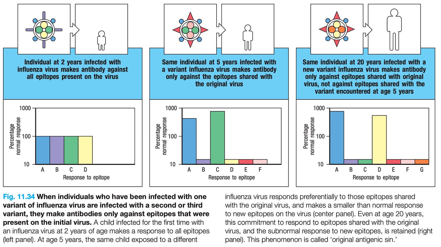 Original antigenic sin Are boosters a threat?
