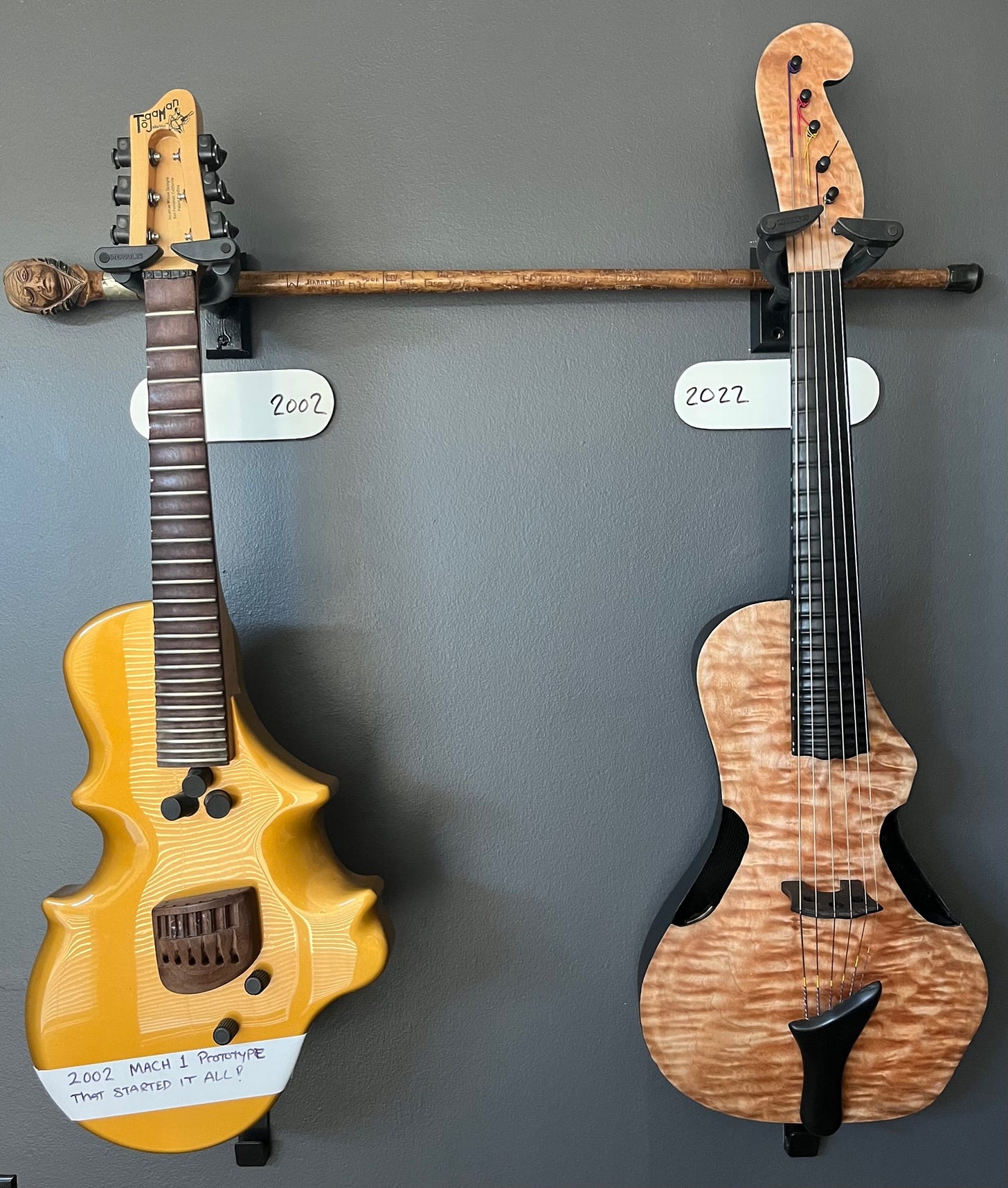Guitarviol store for sale
