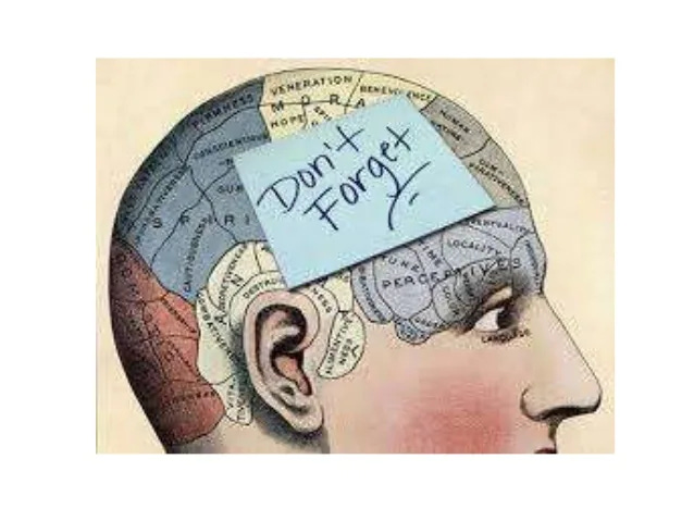 How To Remember Everything You Learn Forever How To Remember Everything You Learn Forever