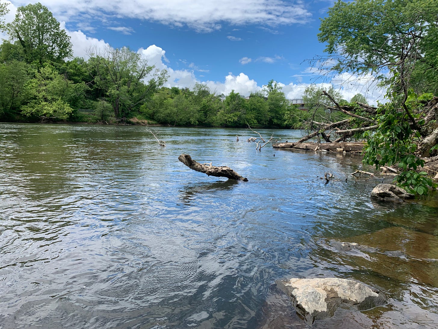 Water quality officials declare 19 miles of French Broad River in