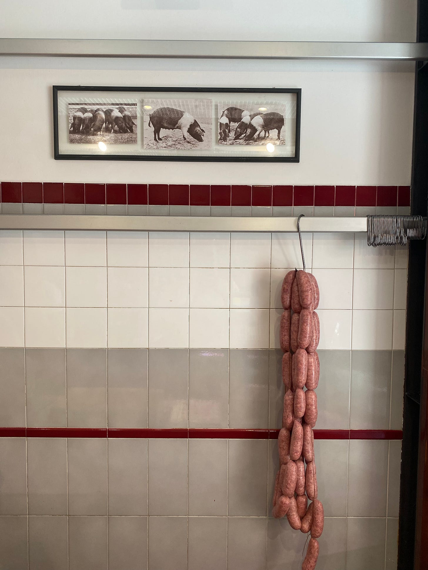 Ómós Digest 15 Mortadella vs Billy Roll Battle of the Bologna.