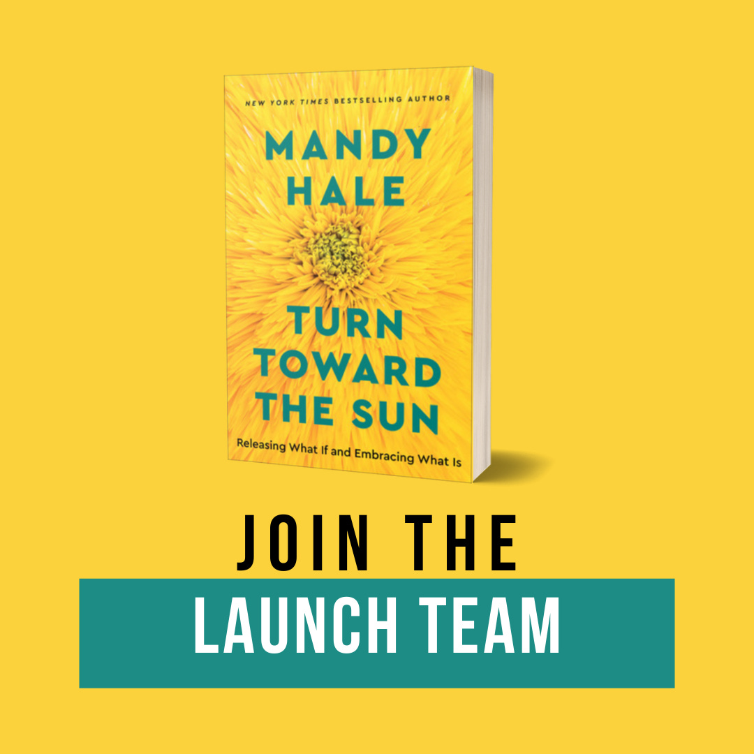 Regulators...Mount Up! by Mandy Hale Mandy’s Musings