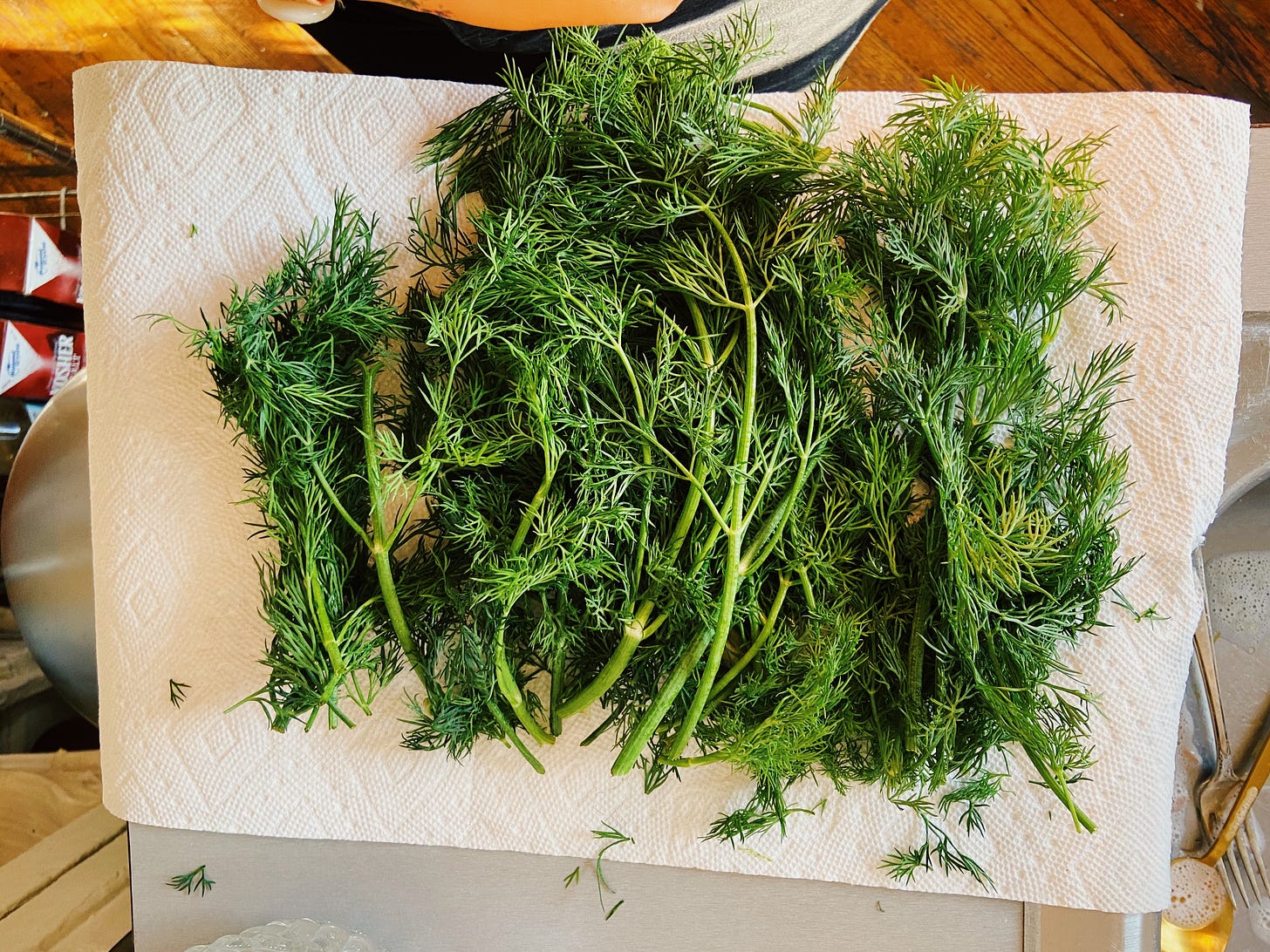 potato leek soup by Alison Roman a newsletter