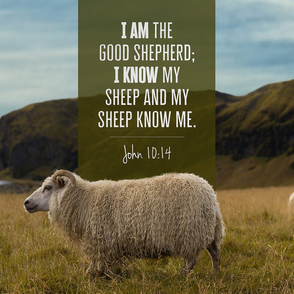 Today you can hear God’s voice