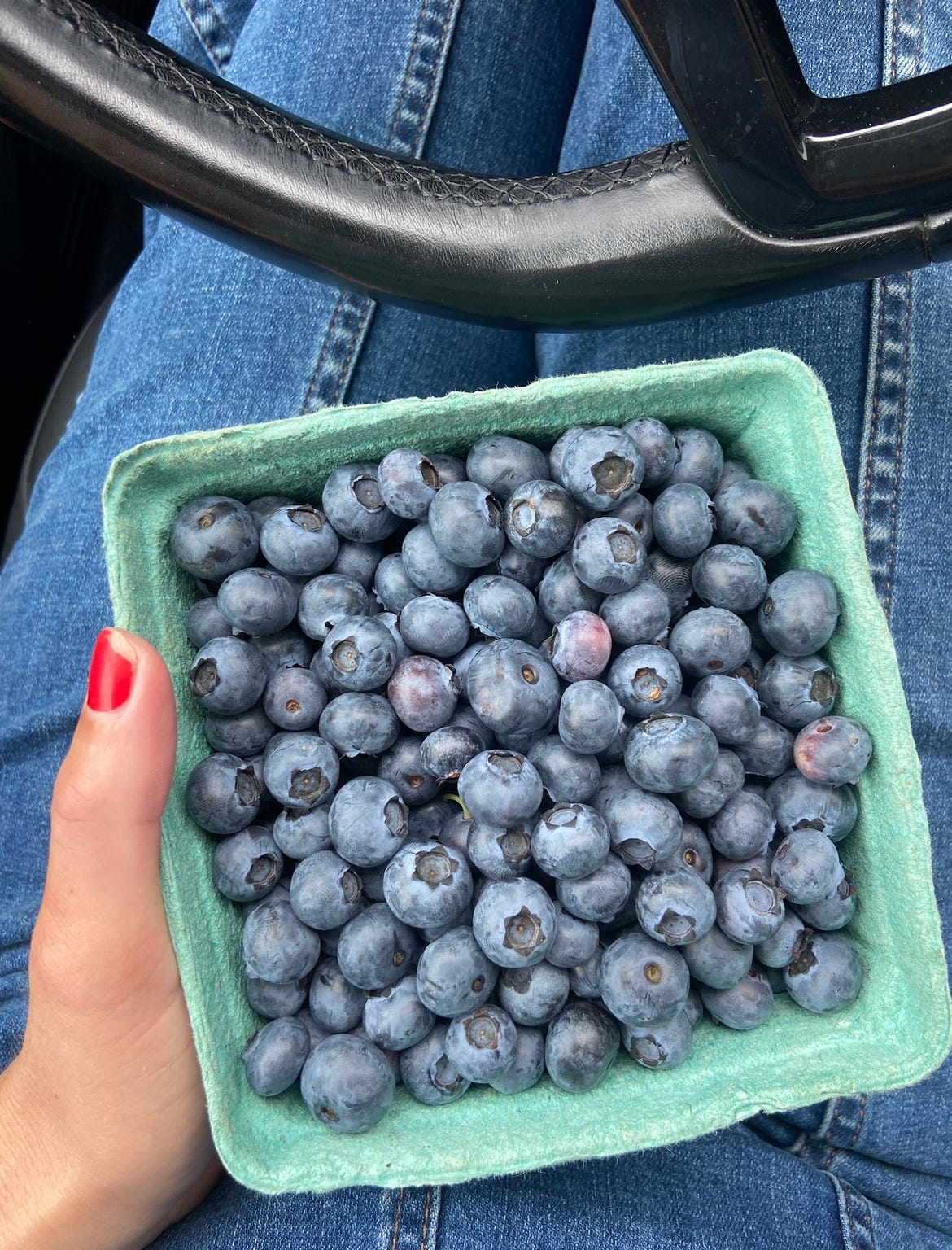 blueberry cornmeal tart by Alison Roman a newsletter