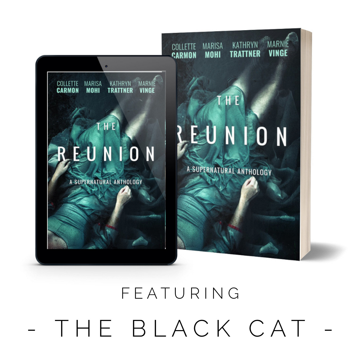 Kathryn’s Newsletter | Kathryn Trattner | Substack