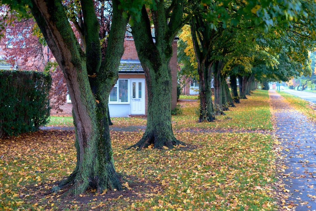 A slow recovery from spiritual abuse - by Martin Geddes